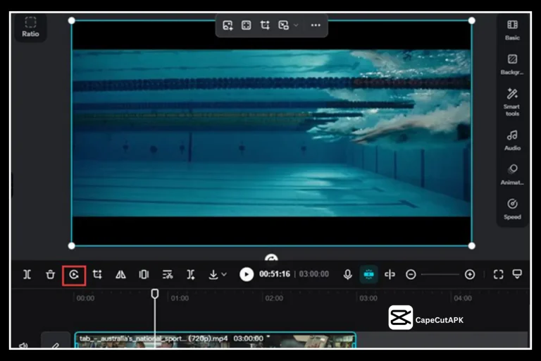 Video in Reverse on CapCut